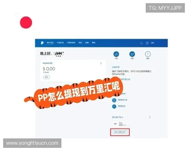 中欧买球网址代理合作流程详解从注册到提现全程操作指南帮助新手快速入门